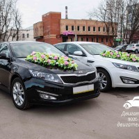 свадебный кортеж kia optima в ногинске