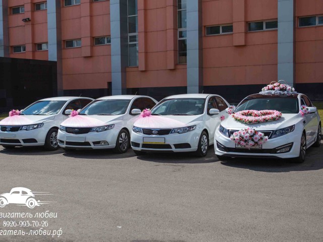 Свадебный кортеж из легковых машин Kia Optima и Kia Cerato